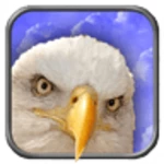 Logo of Eagle Live Wallpaper android Application 